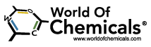 WOC Logo